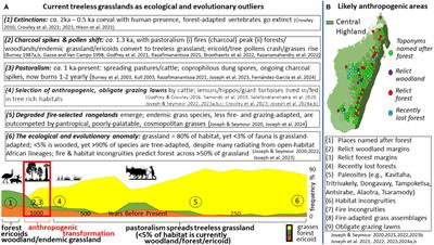 Commentary: The role of palaeoecology in reconciling biodiversity conservation, livelihoods, and carbon storage in Madagascar